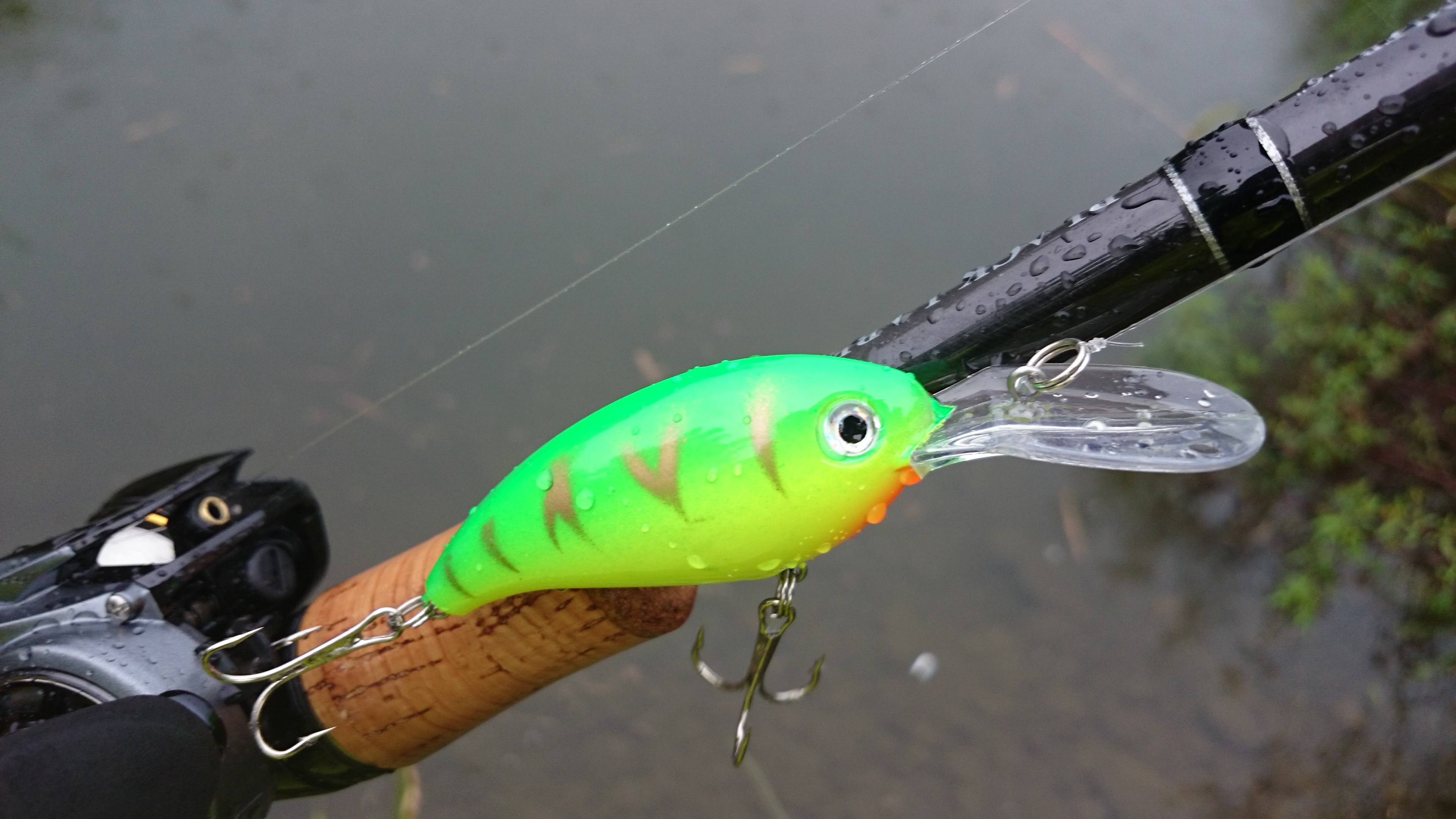 Heddon オールドのナチュプリで白飯食えるよっていう話 Rebel Tsuriluck